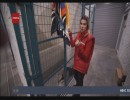 Дуй на стажировку: ПовоДог