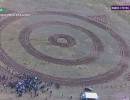  Фермер из Хакасии не признает, что его овцы съели Сад Памяти