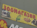  Зоомагазин в Красноярске затопило кипятком: животные погибли