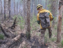 Число ликвидированных пожаров в крае превышает число новых 