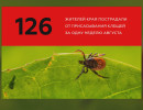  126 укусов клещей зафиксировали за неделю в Красноярском крае