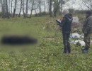  Медведь загрыз женщину в Ирбейско‑Саянском округе