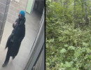  Тело пропавшей в Красноярске студентки нашли в овраге