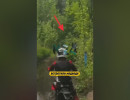  Медведь вышел на трассу энудристов в окрестностях Дивногорска