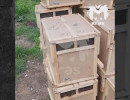  Ульи с живыми пчелами нашли на мусорке в Красноярске