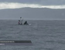  Пятерых девушек на сапбордах унесло в Красноярское море