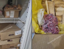  Норавирус нашли у сотрудника кухни в Кадетском корпусе
