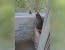 Какие районы красноярска самые криминальные. Смотреть фото Какие районы красноярска самые криминальные. Смотреть картинку Какие районы красноярска самые криминальные. Картинка про Какие районы красноярска самые криминальные. Фото Какие районы красноярска самые криминальные