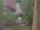  Собаки напали на сторожа в селе Назарово