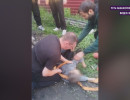  В Хакасии третьеклассник едва не погиб, упав в люк 