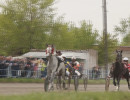  На красноярском ипподроме стартовал сезон открытых заездов