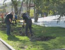  Яблоневую аллею высадили на набережной Качи