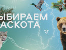  Красноярцам предлагают выбрать талисман аэропорта