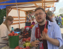  День помидора в Минусинске: кто стал победителем? 