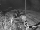  Медведи загрызли домашних животных в СНТ под Красноярском