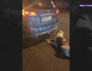  Полиция допросила женщину, протащившую собаку по асфальту