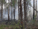  Дым от лесных пожаров в Красноярском крае достиг других регионов