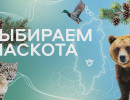  В красноярском аэропорту выбрали нового маскота
