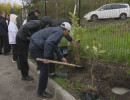  Десятки кустарников высадили школьники в Ленинском районе